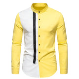 Riolio Luxury Clothes Men Blusas Estampadas Dress Shirt Patchwork Color Wedding Party Social Festival Hombre Steampunk Gentleman Shirts
