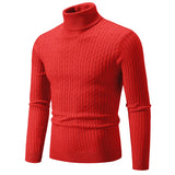 Riolio New Men's Turtleneck Sweater Casual Men's Knitted Sweater Warm Fitness Men Pullovers Tops