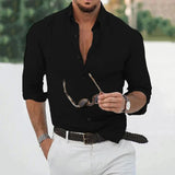 Riolio  New Cotton Linen Shirts Men's Tops Causal Loose Solid Color Long Sleeves Lapel Men's Autumn Casual Wear Streetwear