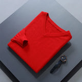 Riolio  Men Cashmere Sweater Autumn Winter Soft Warm Jersey Jumper  Pull Homme Hiver Pullover V-Neck Knitted Sweaters