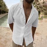 Riolio Hollow Design Chic Shirt Sleeveless, Men's Casual High Stretch V Neck Pullover Sweater For Summer