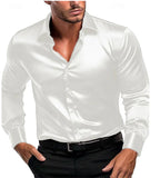 Riolio Spring and Autumn New Silk Fabric Fashion Men's Long-sleeved Men's Business Casual Shirt Long-sleeved Shirt