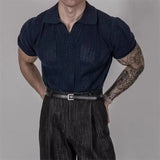 Riolio Hollow Knitted Short-sleeved POLO Shirt T-shirt for Men's Summer Korean Style Top Mesh Texture Design Shirt