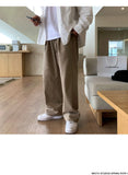 Riolio Korean Style High-end Straight-leg Casual Pants Men's Spring Summer Loose Trousers American 2025 New Trendy Wide-leg Pants Chic