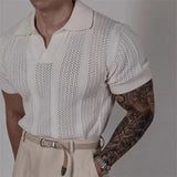 Riolio Hollow Knitted Short-sleeved POLO Shirt T-shirt for Men's Summer Korean Style Top Mesh Texture Design Shirt
