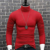 Riolio Luxury Men's Casual Turtleneck T-Shirts Autumn and Winter Tops Slim Collar Full Sleeve Innerwear Undershirt Golf Wear Men Tee