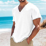 Riolio  Summer Fashion Men Cotton Linen Shirts Vintage Solid Casual Loose Tassel Tops V-neck T-shirts Short Sleeve Tees Shirts For Male
