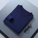 Riolio  Men Cashmere Sweater Autumn Winter Soft Warm Jersey Jumper  Pull Homme Hiver Pullover V-Neck Knitted Sweaters