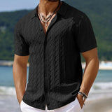 Riolio  Summer New Trend Men Fashion Polo Shirt Light Luxury Textured Knit T-shirt American Style Short Sleeve Casual Cardigan Tops