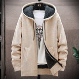 Riolio Autumn and Winter New Men's Fashion Hooded Sweater Men's Casual Plus Fleece Thickened Warm High-Quality Large Size Sweater