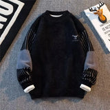Riolio  Men's autumn and winter pullover with thick base knit sweater light luxury semi high neck warm solid color simple sweater
