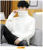 Riolio  White Pullover Turtleneck Men Sweater Fashion Knitted Sweater Men Clothing M-2XL Spring New Arrivals