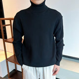 Riolio  New Korean Retro Men Basic Sweater Luxury Knit Solid Color Turtleneck Long Sleeve Pullover Casual Textured High Quality Knitwear
