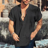 Riolio  New Fashion Cotton Linen Mens Shirts Casual Solid Color V-neck Long Sleeve Blouse Thin Summer Oversized Loose Shirts For Men