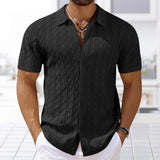 Riolio  Summer New Trend Men Fashion Polo Shirt Light Luxury Textured Knit T-shirt American Style Short Sleeve Casual Cardigan Tops