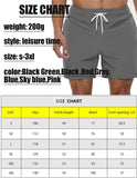 Riolio Men's Swim Trunks Beach Shorts Drawstring with Mesh Lining Elastic Waist Plain Breathable Soft Casual Daily Streetwear