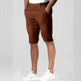 Riolio  Summer New Men's Casual Shorts Waterproof Trousers Japanese Business Versatile Elasticity Waist High GualityShorts Pant For Male
