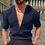 Riolio  Men's Deep V-Neck Waffle Knit Short Sleeve T-Shirt Slim Fit Casual Muscle Top