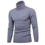 Riolio Casual Men Turtleneck Sweater Autumn Winter Solid Color Knitted Slim Fit Pullovers Long Sleeve Knitwear Warm Knitting Pullover