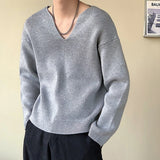 Riolio Men's Light Luxury Knitted Pullover Sweater Men Casual V Neck Solid Color Long Sleeve Knitwear Streetwear Korean Autumn Clothing