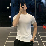 Riolio  Ice Silk High Elastic Quick-drying Sports Short-sleeved Solid Color Fitness Clothes Men's Tight Round Neck T-shirt