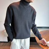Riolio  New Korean Retro Men Basic Sweater Luxury Knit Solid Color Turtleneck Long Sleeve Pullover Casual Textured High Quality Knitwear