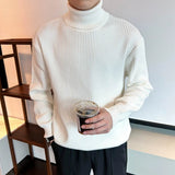 Riolio  New Korean Retro Men Basic Sweater Luxury Knit Solid Color Turtleneck Long Sleeve Pullover Casual Textured High Quality Knitwear