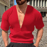 Riolio  Men's Deep V-Neck Waffle Knit Short Sleeve T-Shirt Slim Fit Casual Muscle Top