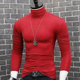 Riolio Luxury Men's Casual Turtleneck T-Shirts Autumn and Winter Tops Slim Collar Full Sleeve Innerwear Undershirt Golf Wear Men Tee