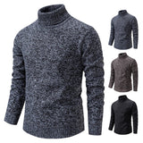 Riolio Sweater Men's Autumn Winter New Trend Slim Wool Thin Velvet Turtleneck Knit Bottoming Shirt Male Clothing