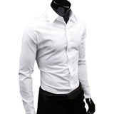 Riolio Classic Business Shirt  Breathable Not See Through Men's Shirt Men's Slim Fit Cotton Business Shirt