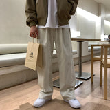 Riolio Korean Style High-end Straight-leg Casual Pants Men's Spring Summer Loose Trousers American 2025 New Trendy Wide-leg Pants Chic