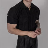 Riolio Hollow Knitted Short-sleeved POLO Shirt T-shirt for Men's Summer Korean Style Top Mesh Texture Design Shirt
