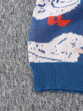Riolio New Popular Autumn Winter Cute Duck Jacquard Pattern Pullover Sweater Casual Round Neck Contrast Color Knitted Men's Pullover