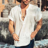 Riolio  New Fashion Cotton Linen Mens Shirts Casual Solid Color V-neck Long Sleeve Blouse Thin Summer Oversized Loose Shirts For Men