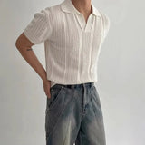 Riolio Men's Summer Korean Style Lightweight Knitshort Sleevespolo Shirt Hollow Mesh Texture Knitwear T-shirt Top Body Shirt