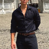 Riolio  Spring Autumn Fashion Turn-down Collar Long Sleeve Solid Blouse Men's Clothing Korean Casual All-match Button Simplicity Shirts