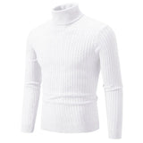 Riolio New Winter Men's Turtleneck Sweater Casual Men's Knitted Sweater Keep Warm Fitness Men Pullovers Tops