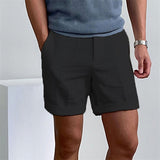 Riolio Men's Shorts Linen Shorts Summer Shorts Beach Shorts Zipper Plain Comfort Breathable Short Outdoor Daily Streetwear Stylish