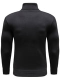 Riolio Turtle Neck Knitted Sweater, Men's Casual Warm Solid Color Mid Stretch Pullover Sweater For Fall Winter