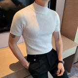 Riolio Fall Winter New Short Sleeve Knitted Sweater Men Clothing Half High Neck Slim Fit Sweater T-shirt Casual Stretch Homme Pullover