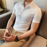 Riolio High Quality Summer Ice Silk Seamless Elastic Shirt Men's Slim Fit Short Sleeve Social Business Dress Shirt Plus Size 4XL-M