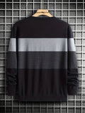 Riolio All Match Knitted Color Block Sweater, Men's Casual Warm Slightly Stretch Crew Neck Pullover Sweater For Men Fall Winter